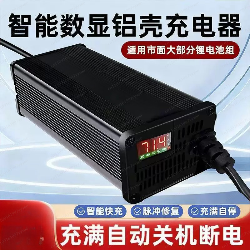 48V 60V 72V スマート LiFePO4 リチウムイ - 72V 15A Fast Charger のレビューと価格